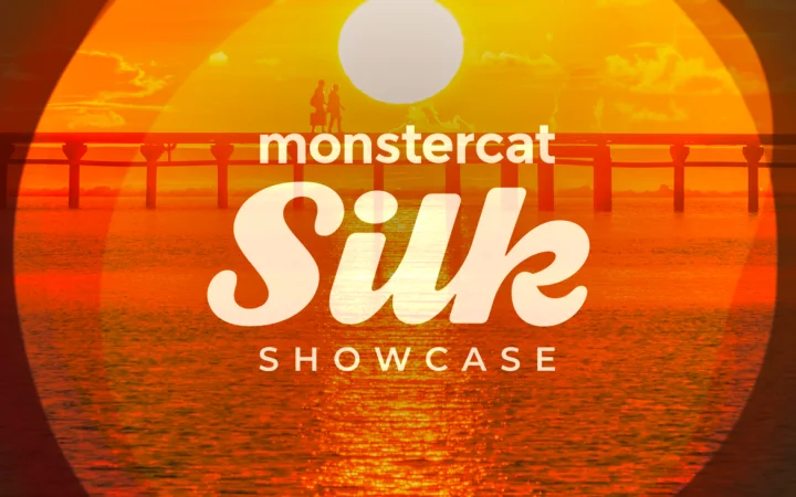 Cover von Monstercat Silk